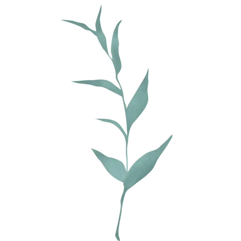 Aesthetic Leaf