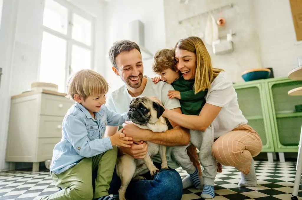 Photo of young family spending time in the kitchen with their family dog